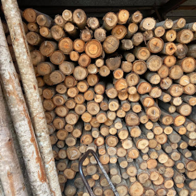 Cây Chống Gỗ